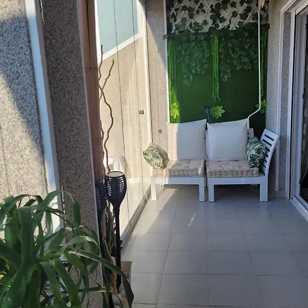 Precioso Aetico Con Terraza Torrevieja